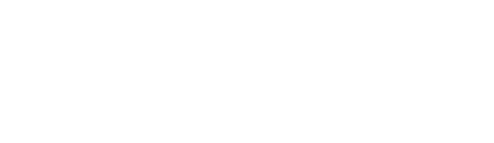 BARNES International Realty
